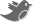 极光